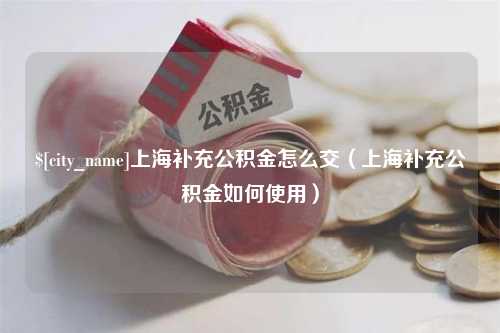 钦州上海补充公积金怎么交（上海补充公积金如何使用）